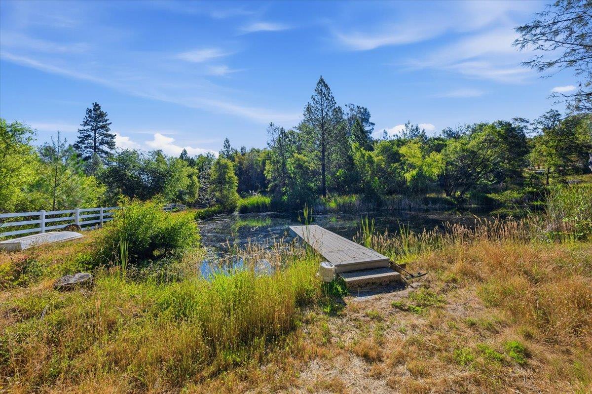 22233 McCourtney Road Grass Valley, CA 95949 - Photo 43 of 89