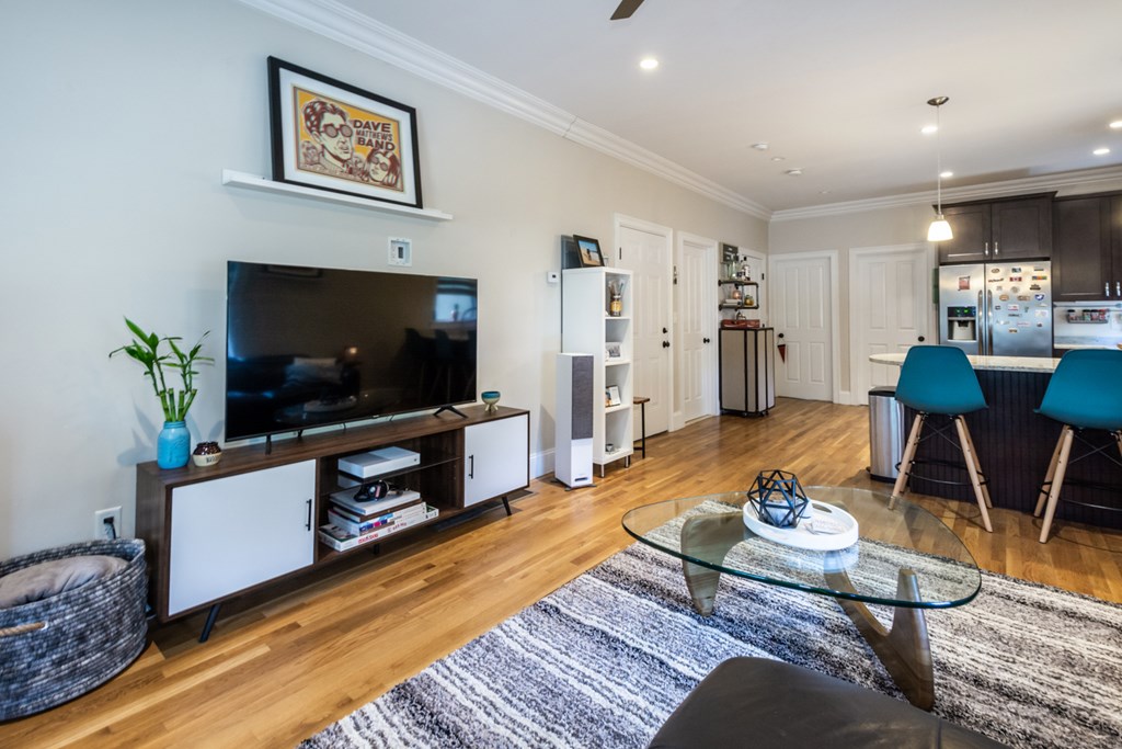 13 Meehan Street, Unit 1 Boston, MA 02130 - Photo 5 of 21 Gallery Image 5