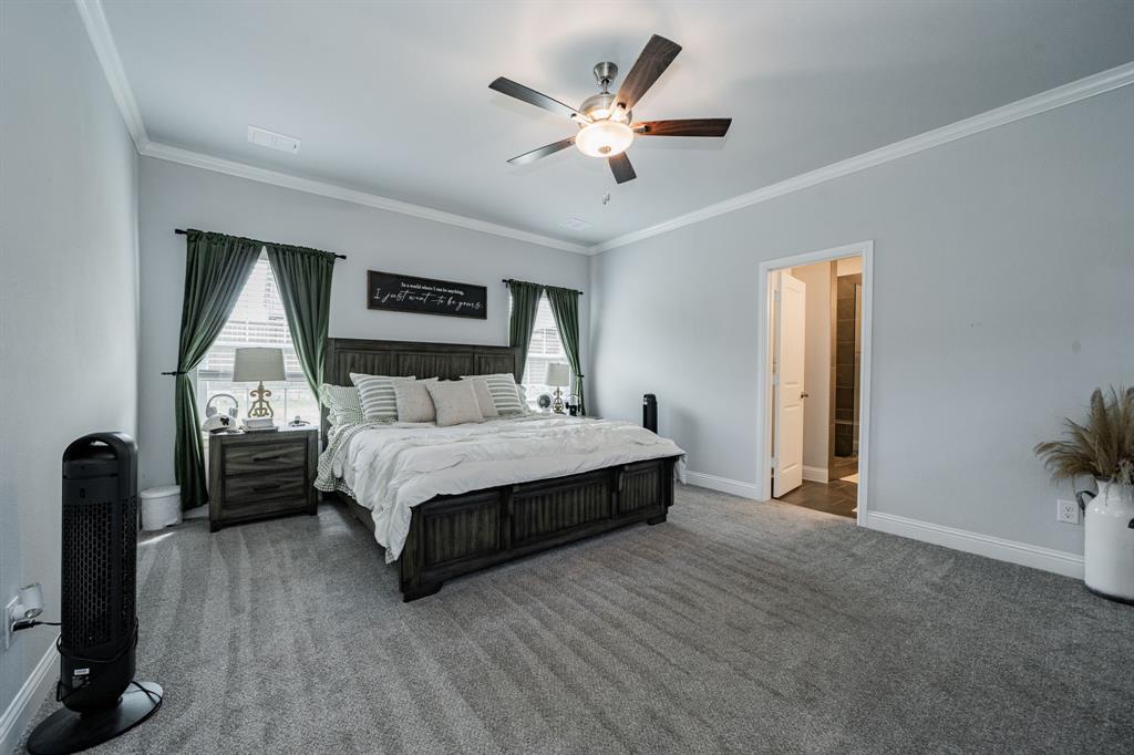 248 Waters Rdg Drive Lavon, TX 75166 - Photo 20 of 36 Bedroom with carpet, ornamental molding, ceiling fan, and multiple windows