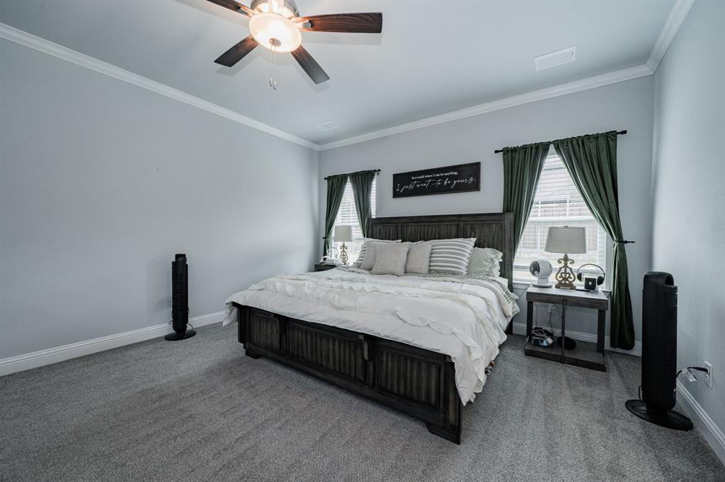 248 Waters Rdg Drive Lavon, TX 75166 - Photo 21 of 36 Bedroom with ornamental molding, multiple windows, dark carpet, and ceiling fan