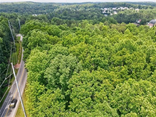 a view of a lush green forest with a street