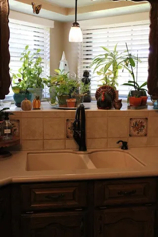 a bathroom with a sink and a potted plant