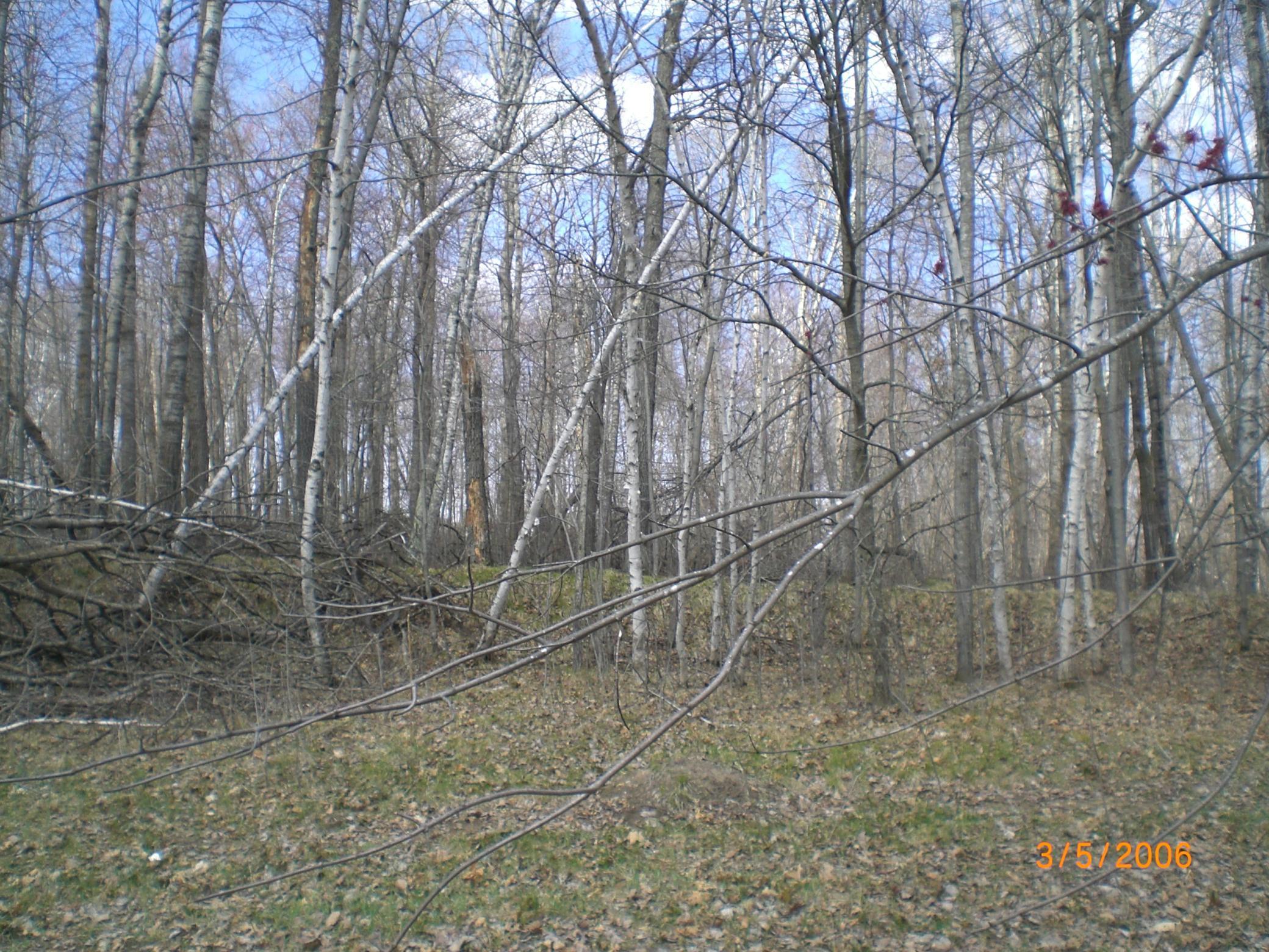 Lot 211 Catskill Circle Breezy Point, MN 56472 - Photo 1 of 6