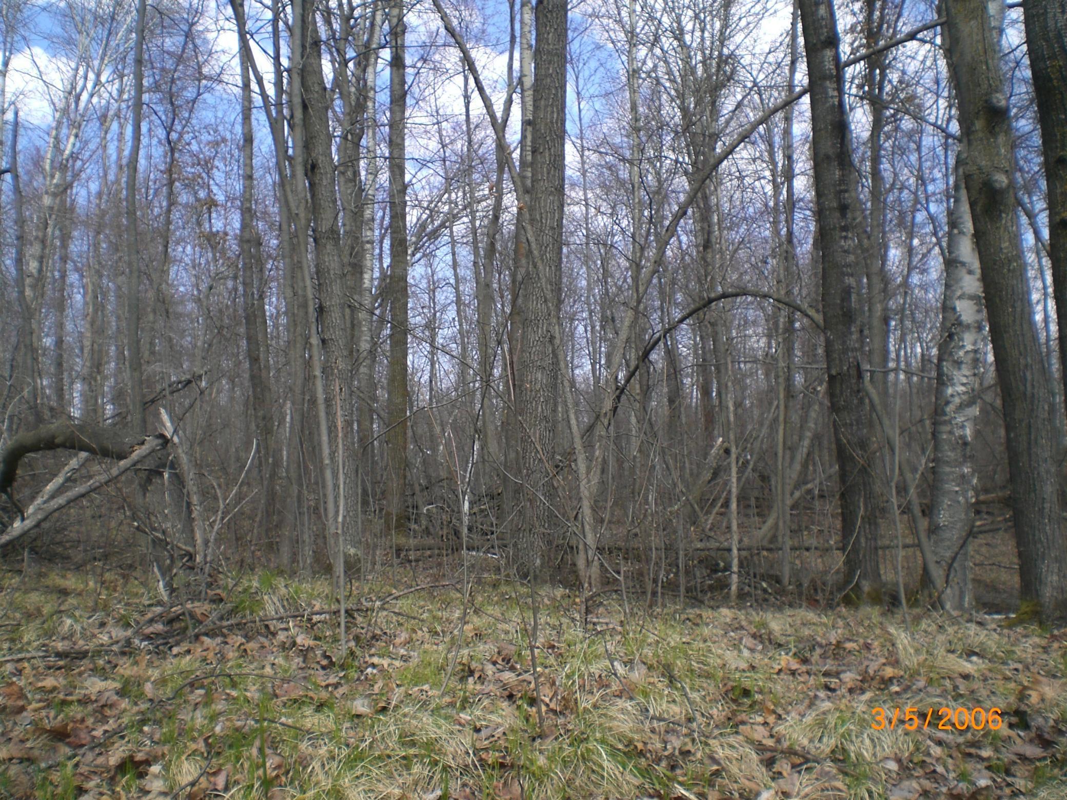 Lot 211 Catskill Circle Breezy Point, MN 56472 - Photo 5 of 6