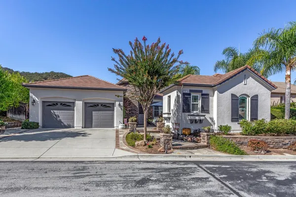 a view of a white house with large windows and a yard with plants