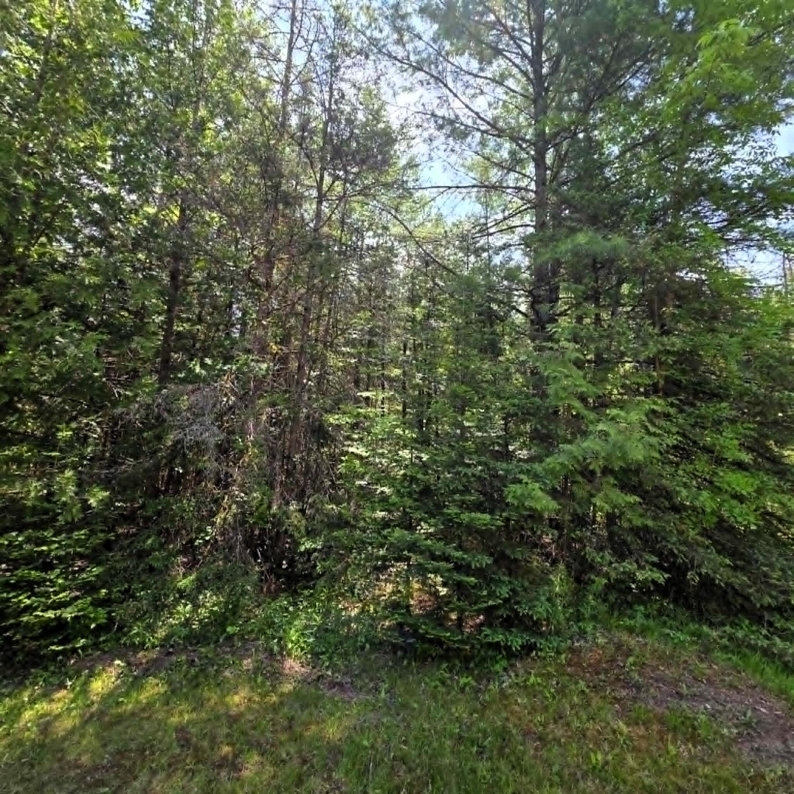 4204 Truckey Road Alpena, MI 49707 - Photo 28 of 33