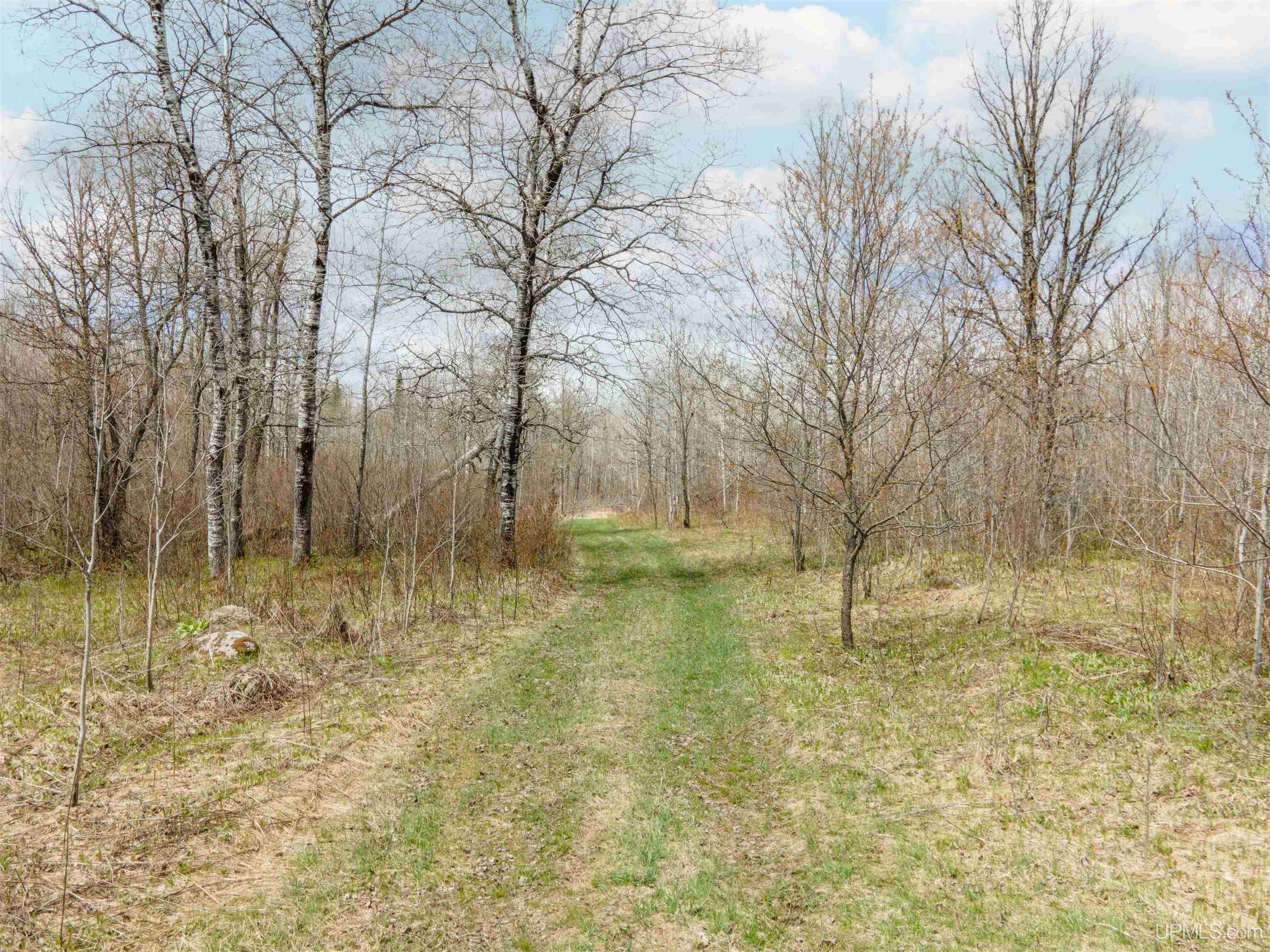 3 Easement Road, Unit LOT 3 Long Lake, WI 54542 - Photo 17 of 25