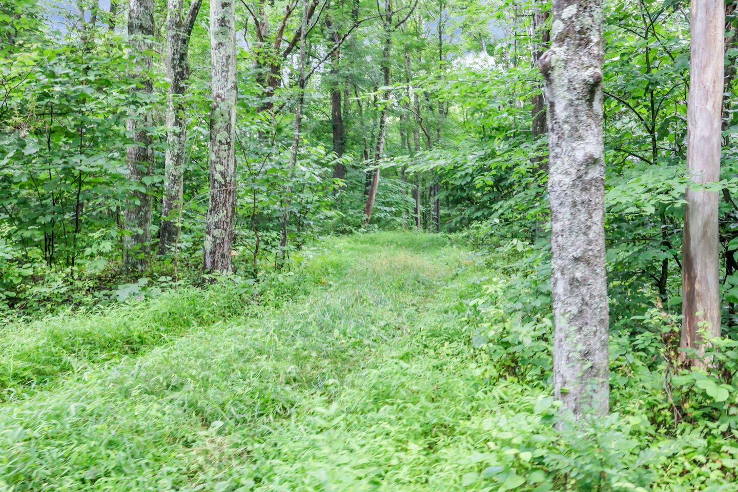 16749 Mush Run Road Athens, OH 45701 - Photo 5 of 37 9-web-or-mls-LO5A4529