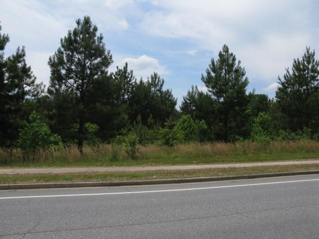 250 Sugar Ridge Road Inman, SC 29349 - Photo 4 of 11