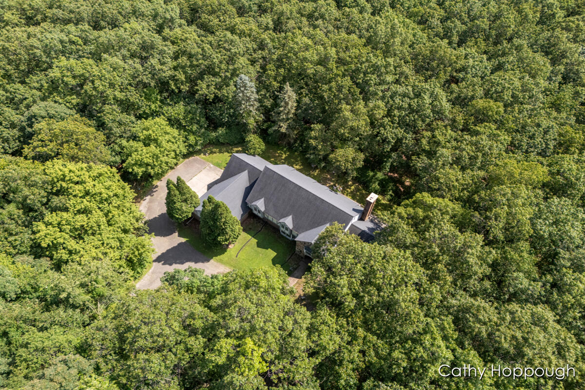 735 Prairie Creek Road Ionia, MI 48846 - Photo 73 of 81