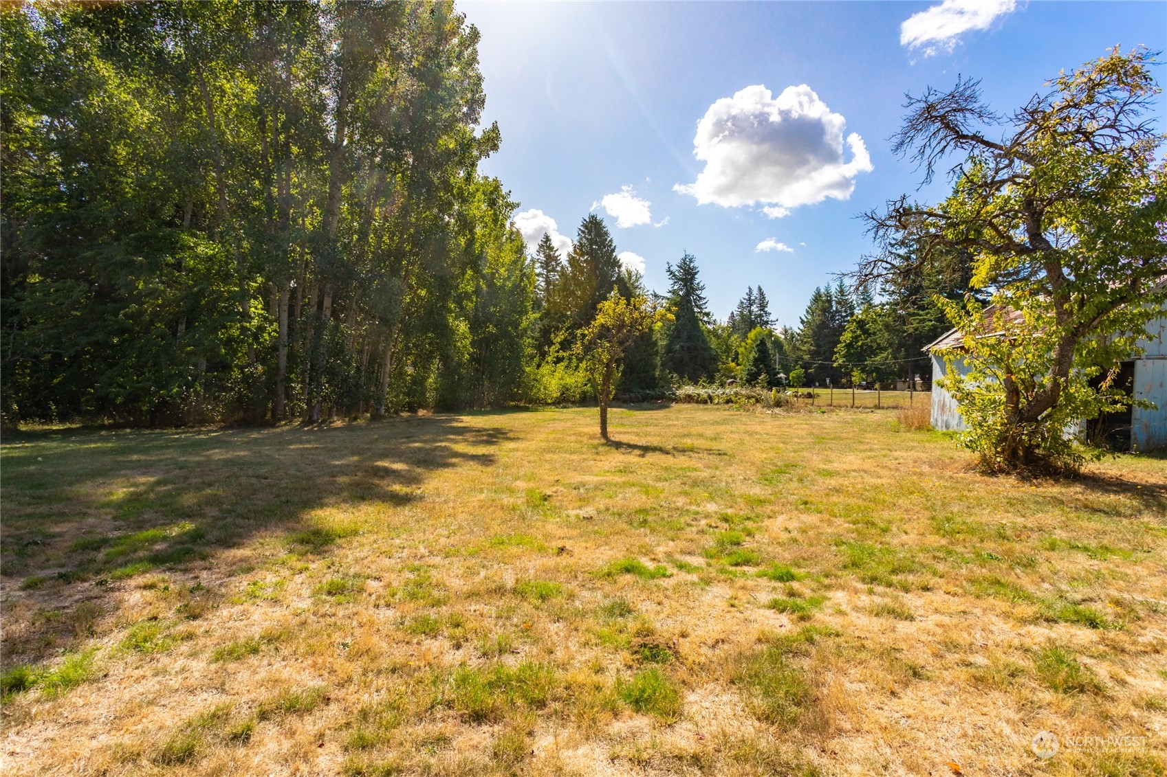 1187 West Axton Road Ferndale, WA 98248 - Photo 35 of 40 a view of yard with trees