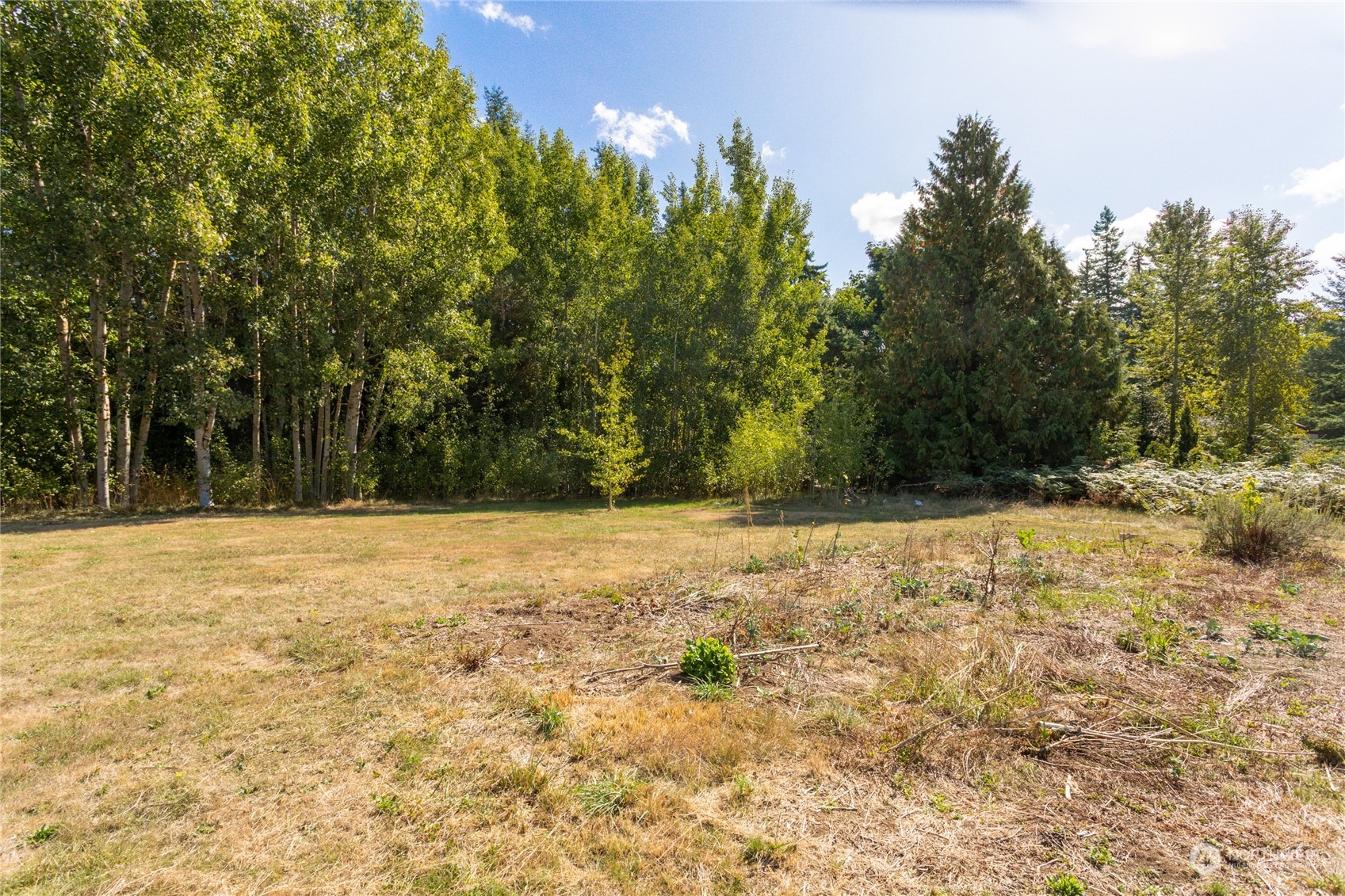 1187 West Axton Road Ferndale, WA 98248 - Photo 36 of 40 a view of yard and trees