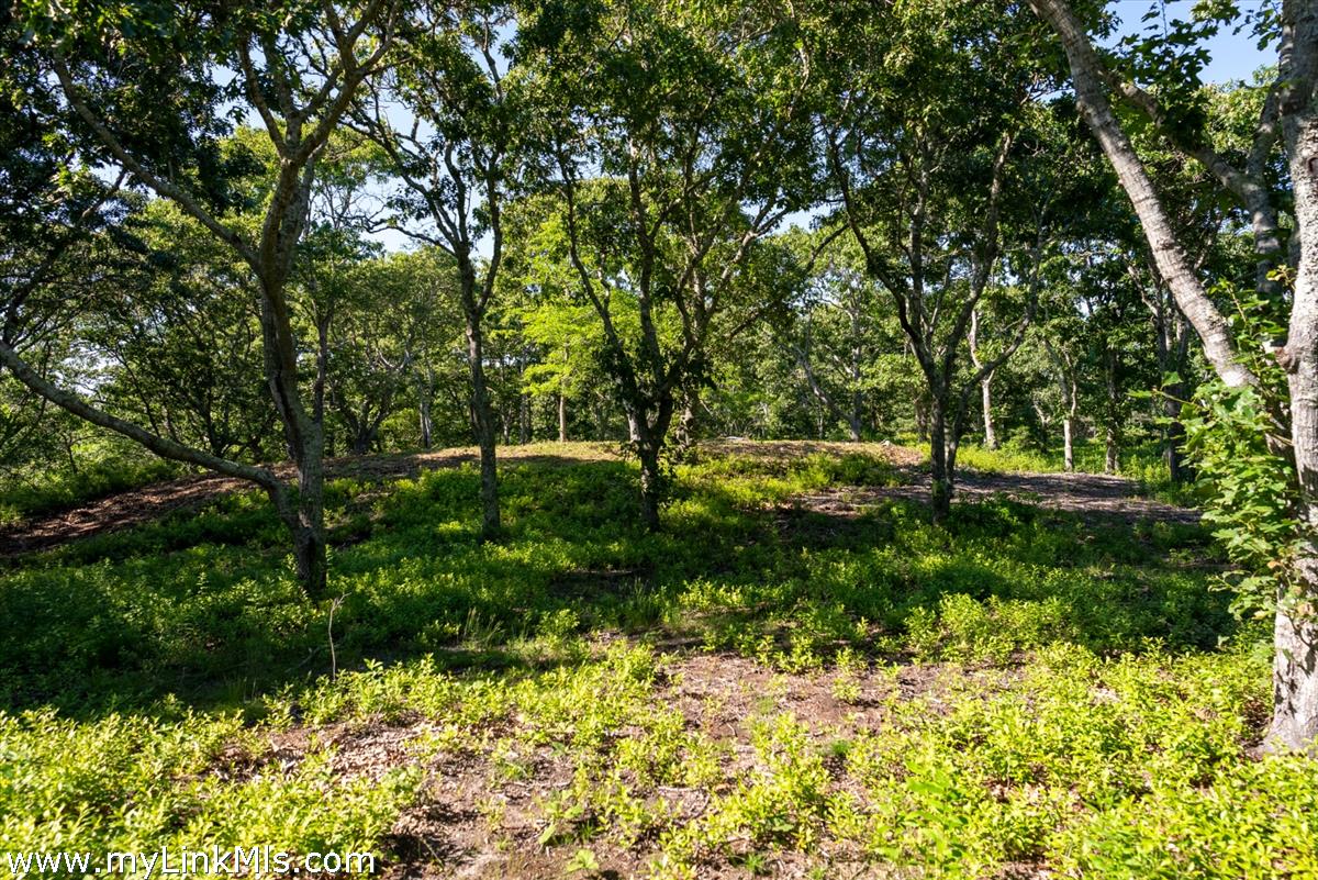 32 Stonewall Road Chilmark, MA 02535 - Photo 11 of 17 Gallery Image 11