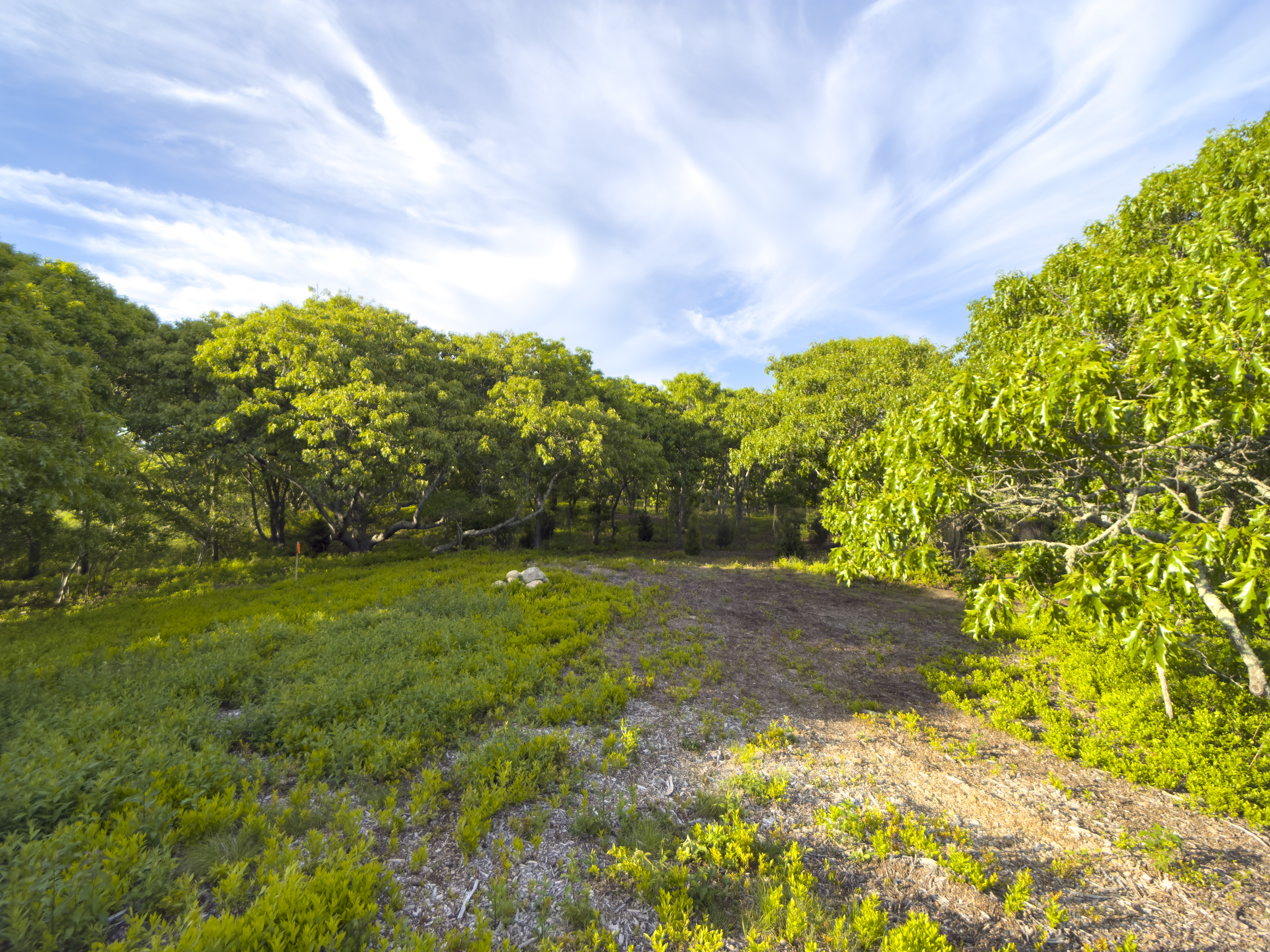 32 Stonewall Road Chilmark, MA 02535 - Photo 3 of 17 Gallery Image 3