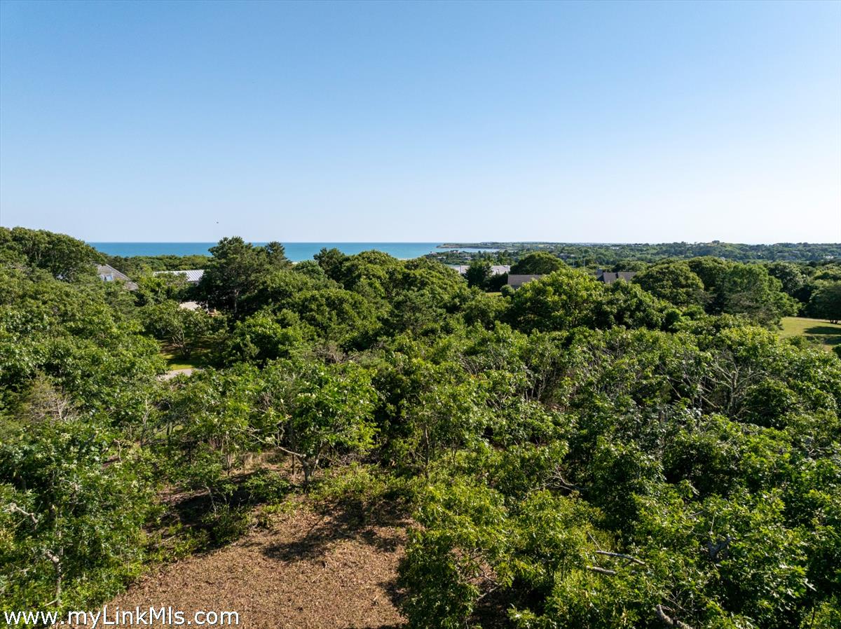 32 Stonewall Road Chilmark, MA 02535 - Photo 5 of 17 Gallery Image 5