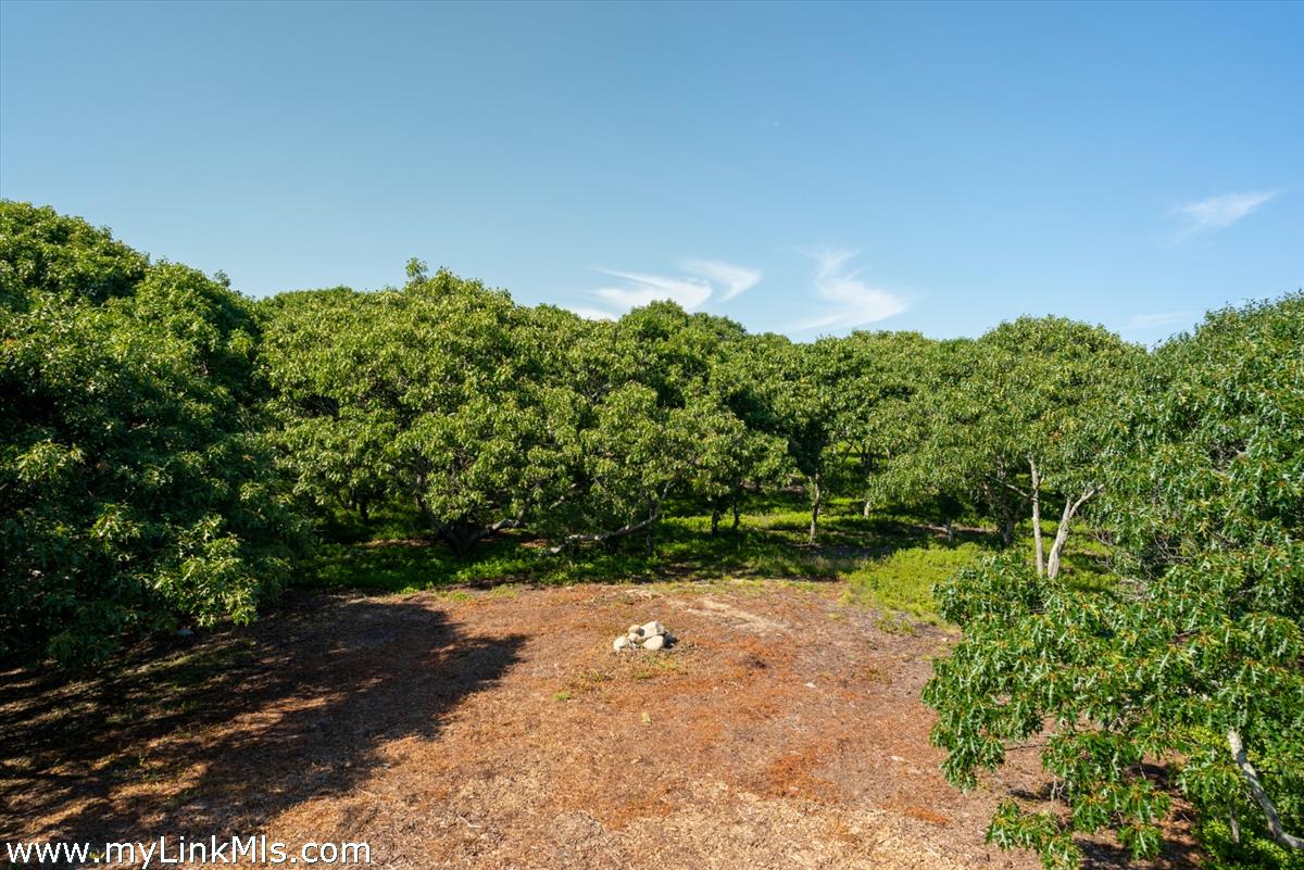 32 Stonewall Road Chilmark, MA 02535 - Photo 10 of 17 Gallery Image 10