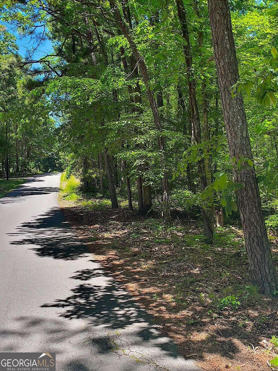 501 Harvey Fields Road Canton, GA 30114 - Photo 1 of 1 Gallery Image 1