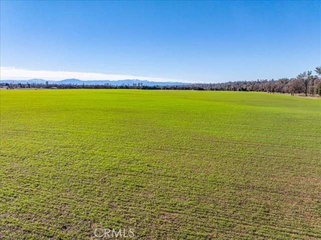 0 Old Gold Road Cottonwood, CA 96022 - Photo 9 of 53