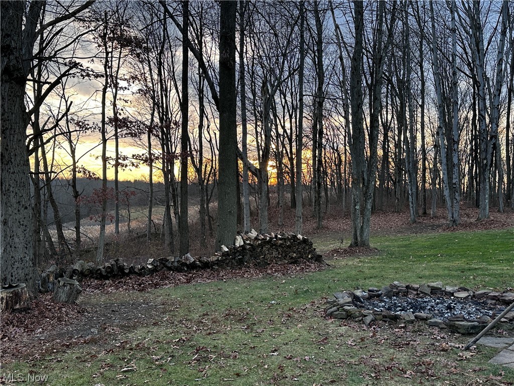 50748 Shenandoah Road Caldwell, OH 43724 - Photo 22 of 43 View of yard at dusk