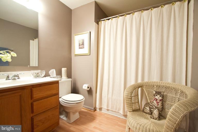11950 Hollowwind Court Reston, VA 20194 - Photo 11 of 30 Bath
