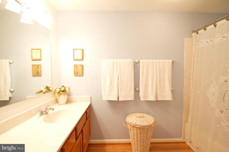 11950 Hollowwind Court Reston, VA 20194 - Photo 19 of 30 Bath