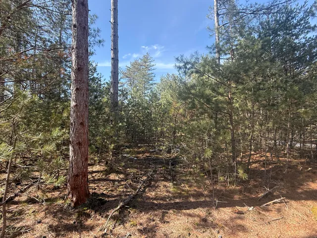 $79,500 | V/l West V/l Pine, Hart, MI 49420