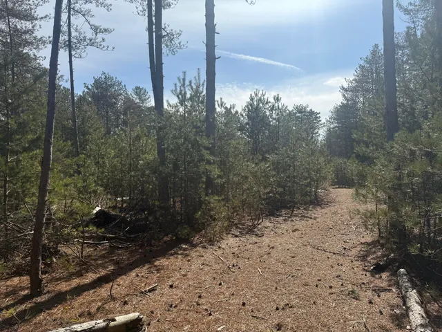 $79,500 | V/l West V/l Pine, Hart, MI 49420