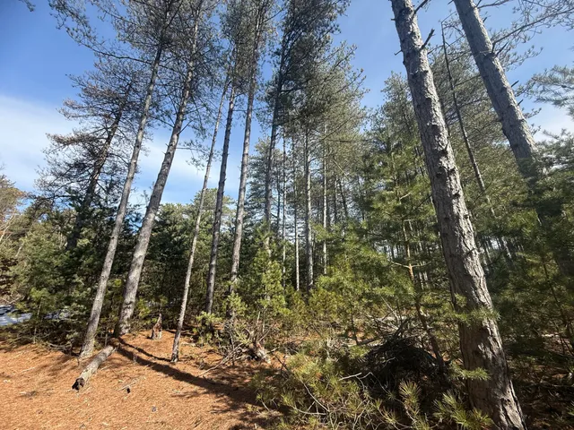 $79,500 | V/l West V/l Pine, Hart, MI 49420