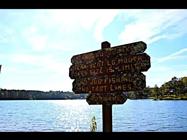 $250,000 | 653 Ironwood Drive, Saulsbury, TN 38067