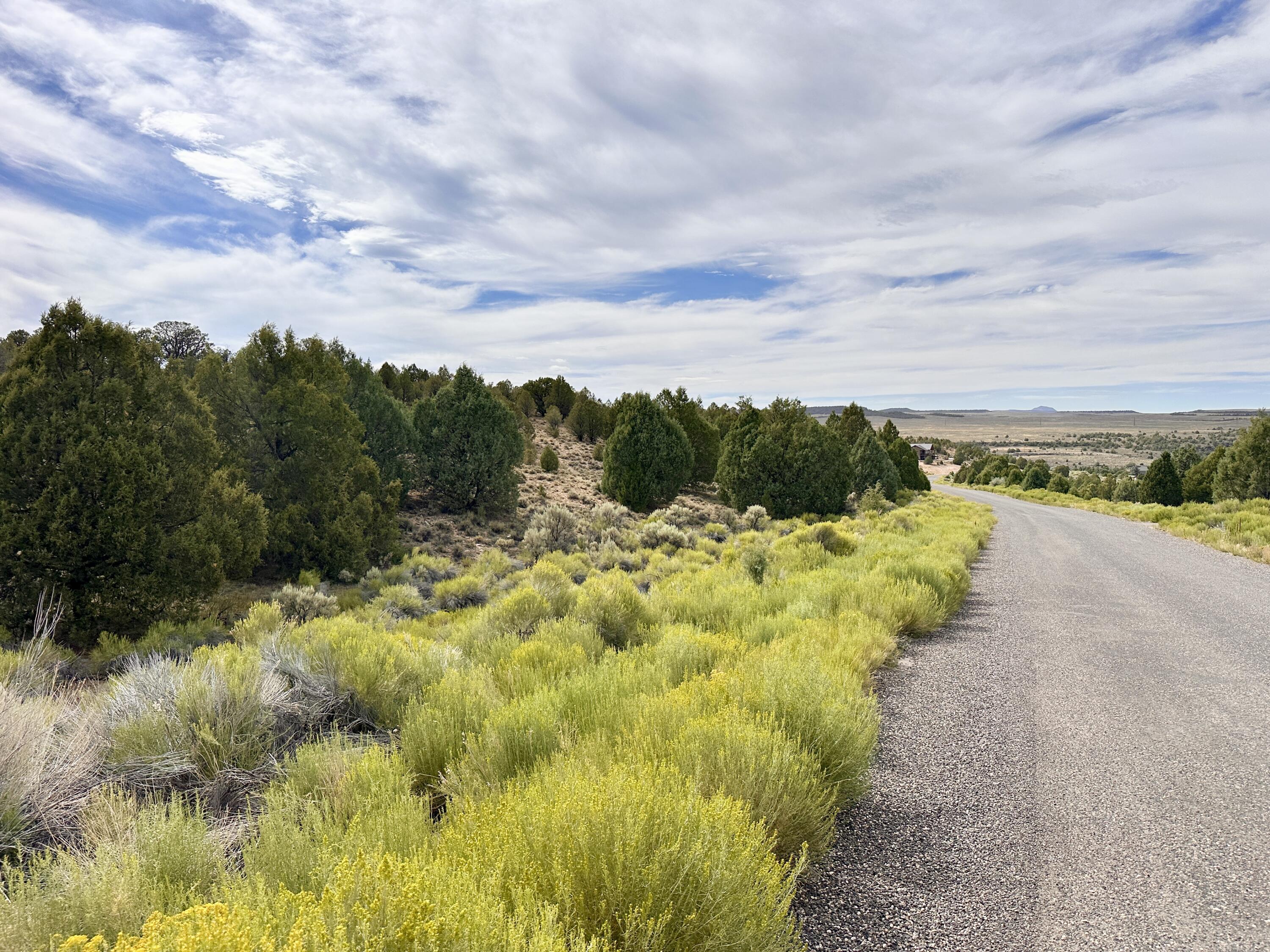 1730 Eagle Ridge Circle Hatch, UT 84735 - Photo 7 of 15 IMG_0614 2
