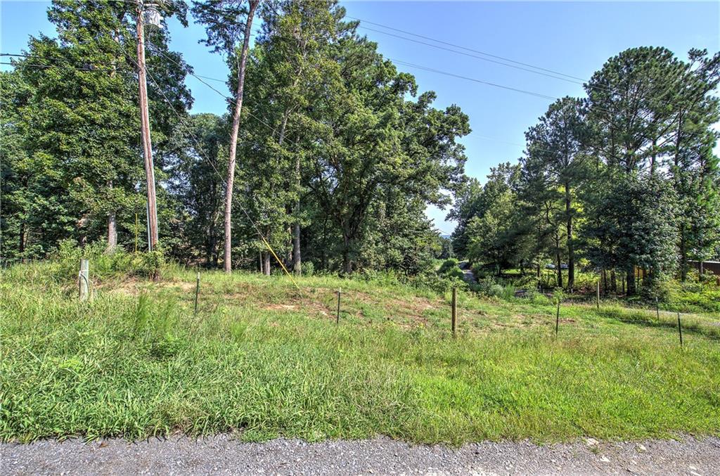 0 Pearl Johnson Road Ranger, GA 30734 - Photo 6 of 36 Gallery Image 6