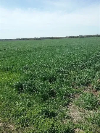 $1,080,000 | Tbd Tbd Dale, Milford, TX 76670