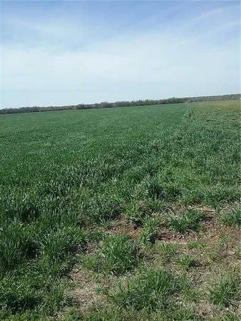 $1,080,000 | Tbd Tbd Dale, Milford, TX 76670