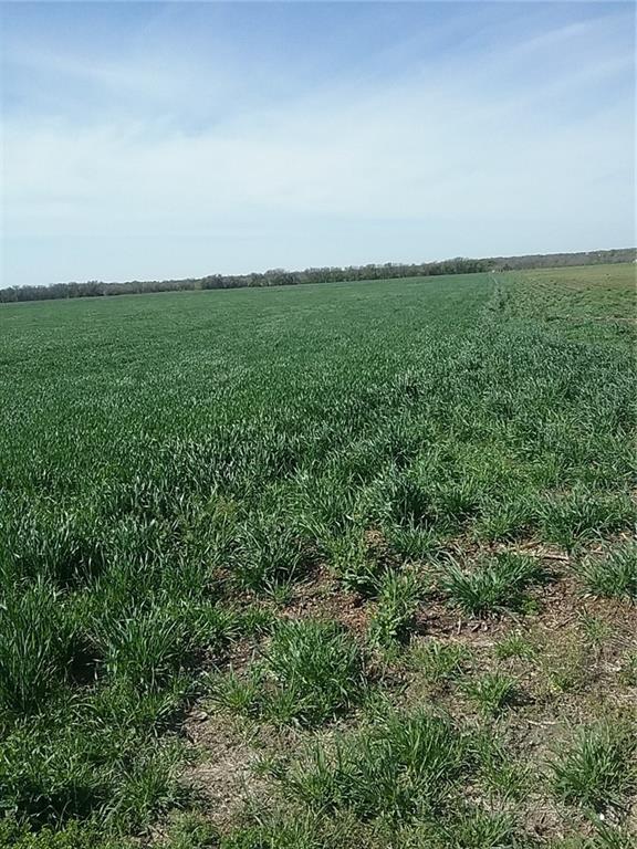 Tbd Tbd Dale Milford, TX 76670 - Photo 2 of 2
