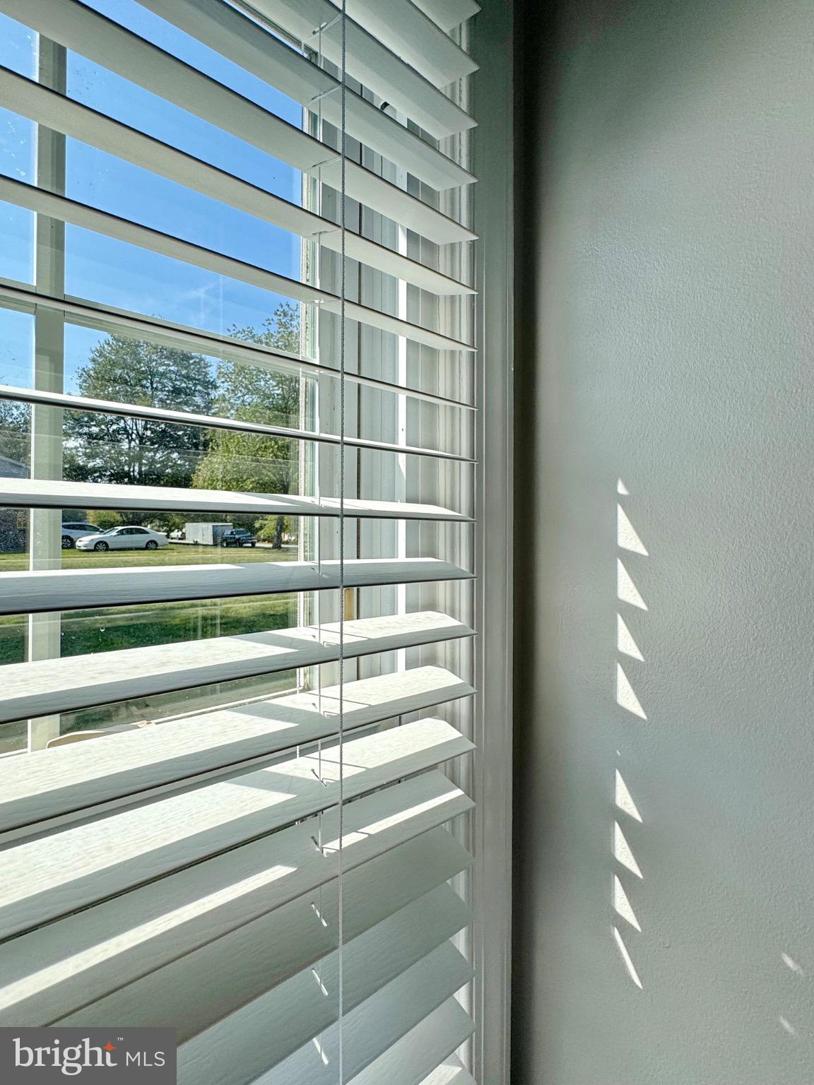 7406 Robin Road La Plata, MD 20646 - Photo 60 of 89 Sunlight dances through the blinds.