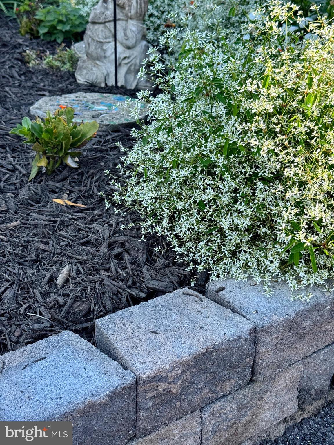 7406 Robin Road La Plata, MD 20646 - Photo 86 of 89 Charming garden border with blooming flowers.