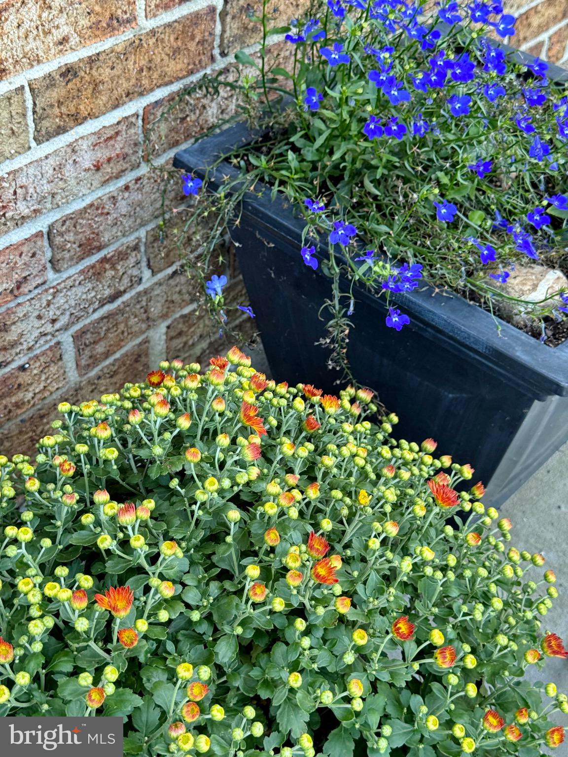 7406 Robin Road La Plata, MD 20646 - Photo 89 of 89 Vibrant blooms brighten a charming entryway.