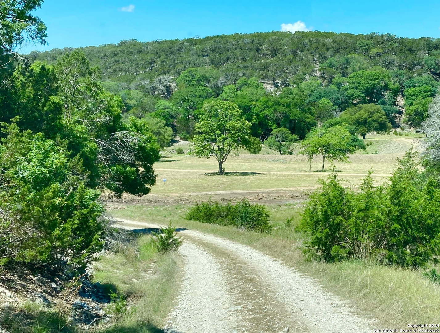 Lot 134 Shapen Springs Road Harper, TX 78631 - Photo 2 of 4