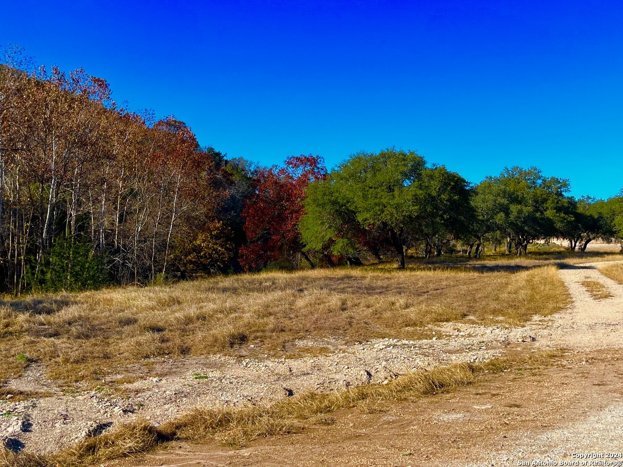 Lot 134 Shapen Springs Road Harper, TX 78631 - Photo 3 of 4