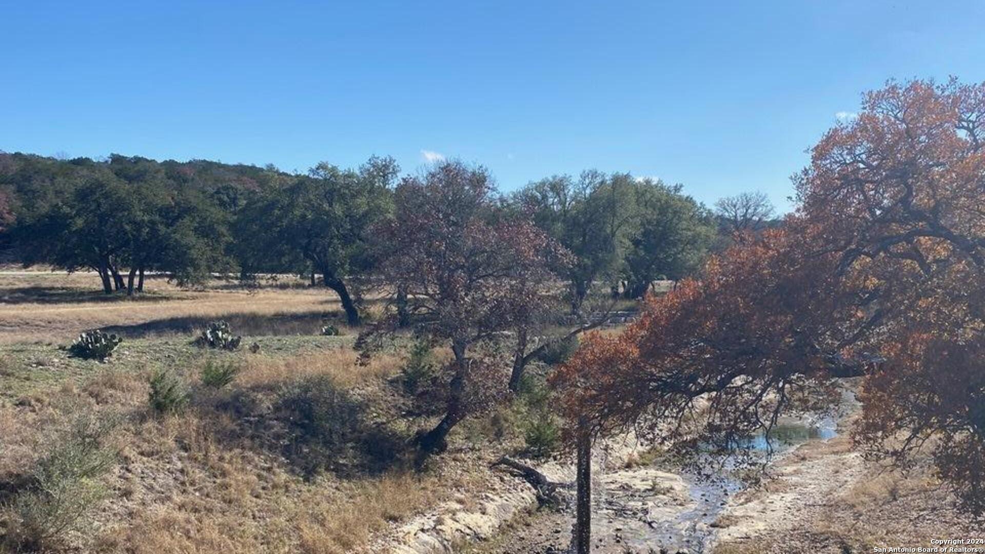 Lot 134 Shapen Springs Road Harper, TX 78631 - Photo 4 of 4