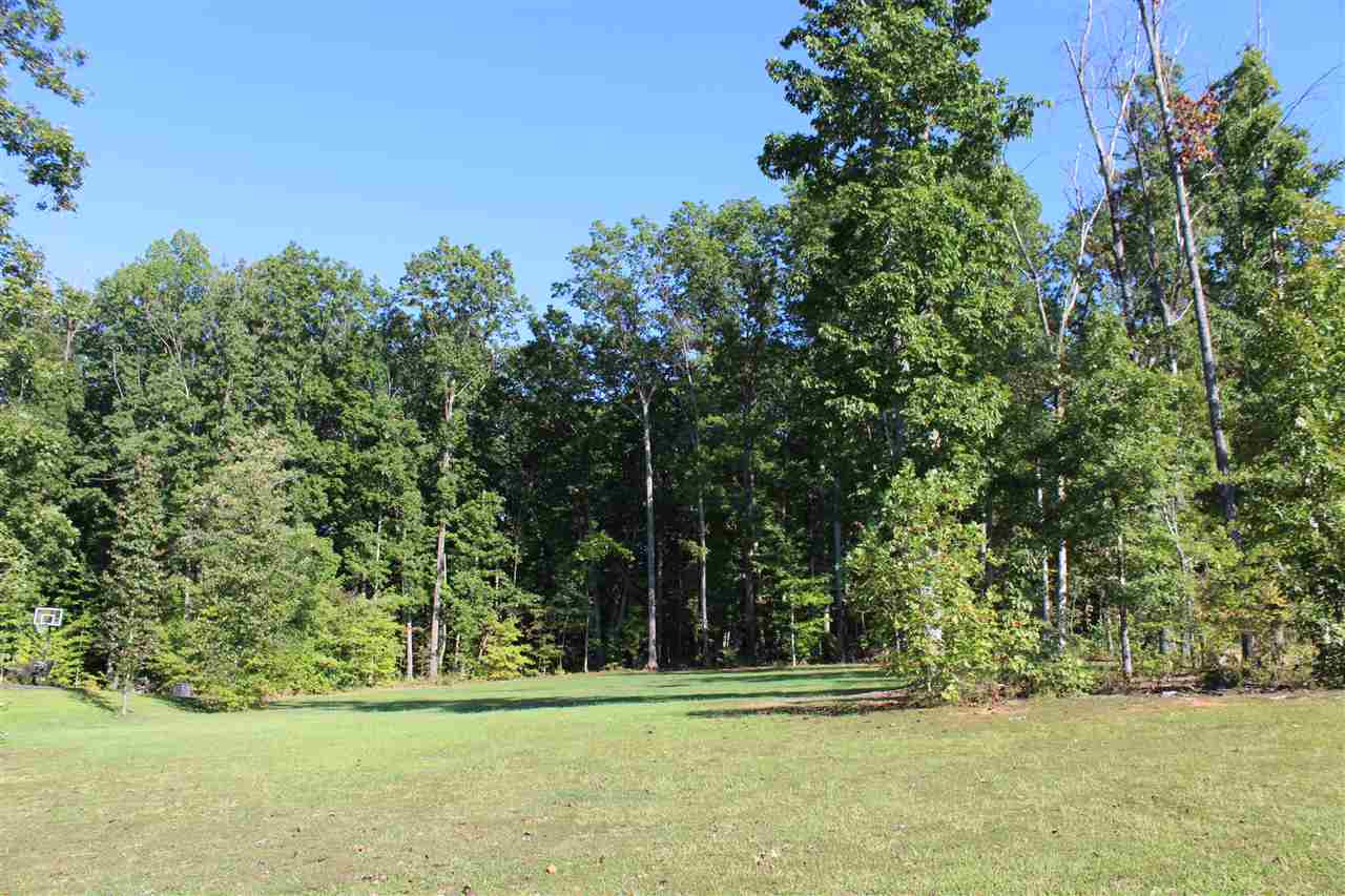 625 Reedy Creek Road Louisa, VA 23093 - Photo 5 of 5 a view of a park