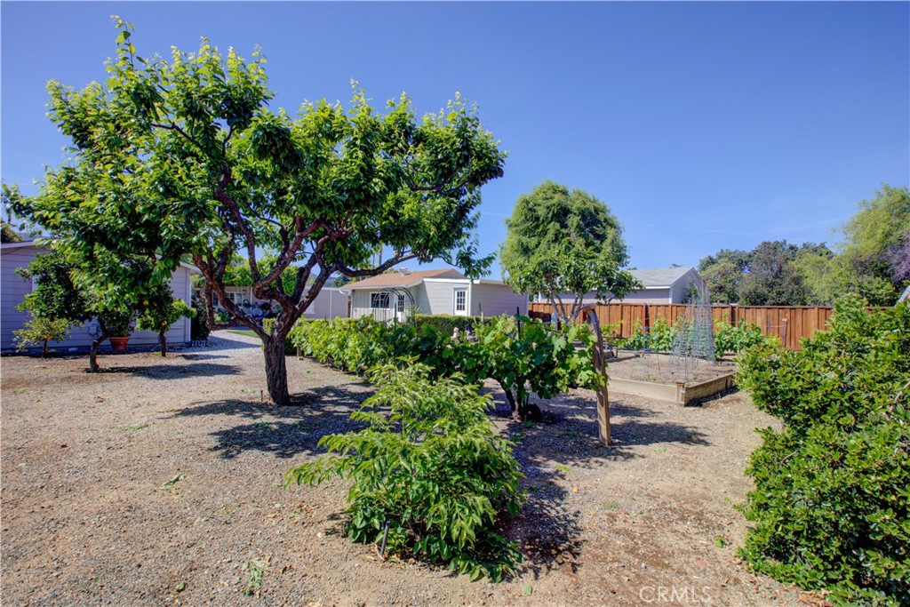 14793 Ronda San Jose, CA 95124 - Photo 27 of 30