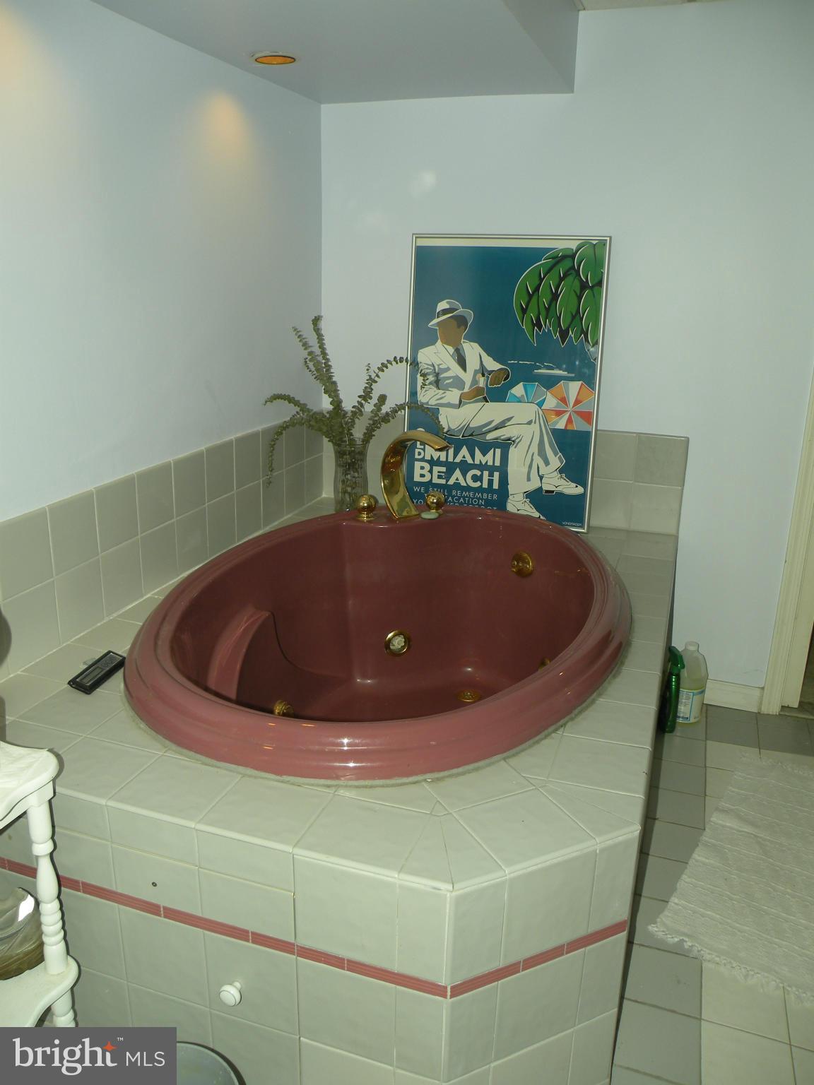 104 Ridge Road Riva, MD 21140 - Photo 29 of 30 Large Full Bath in LL w/Soaker Tub