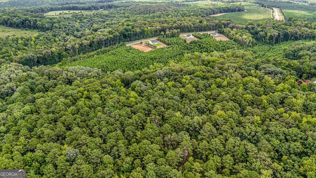 124 Gumm Cemetery Road Northeast Milledgeville, GA 31061 - Photo 3 of 4