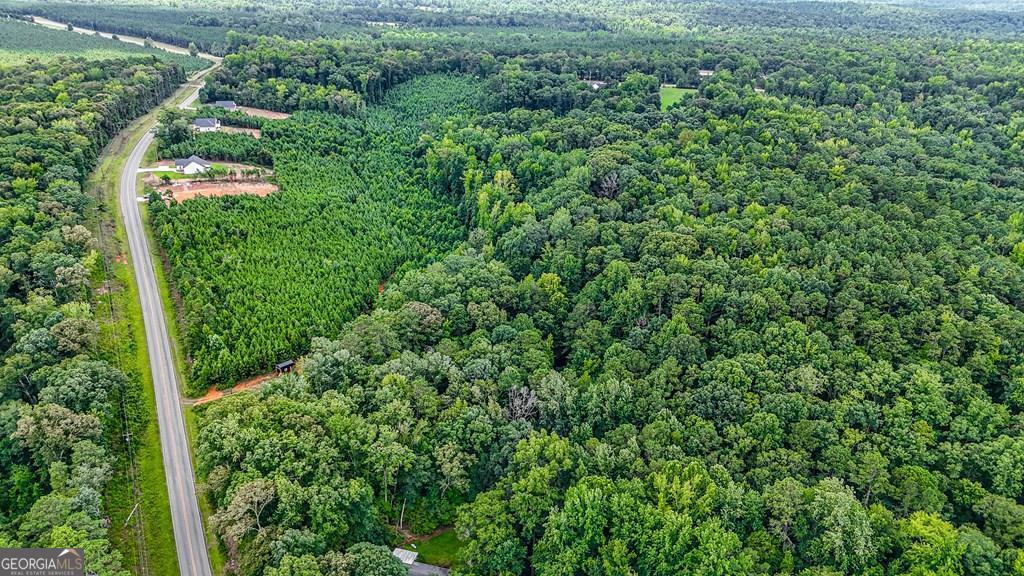 124 Gumm Cemetery Road Northeast Milledgeville, GA 31061 - Photo 4 of 4