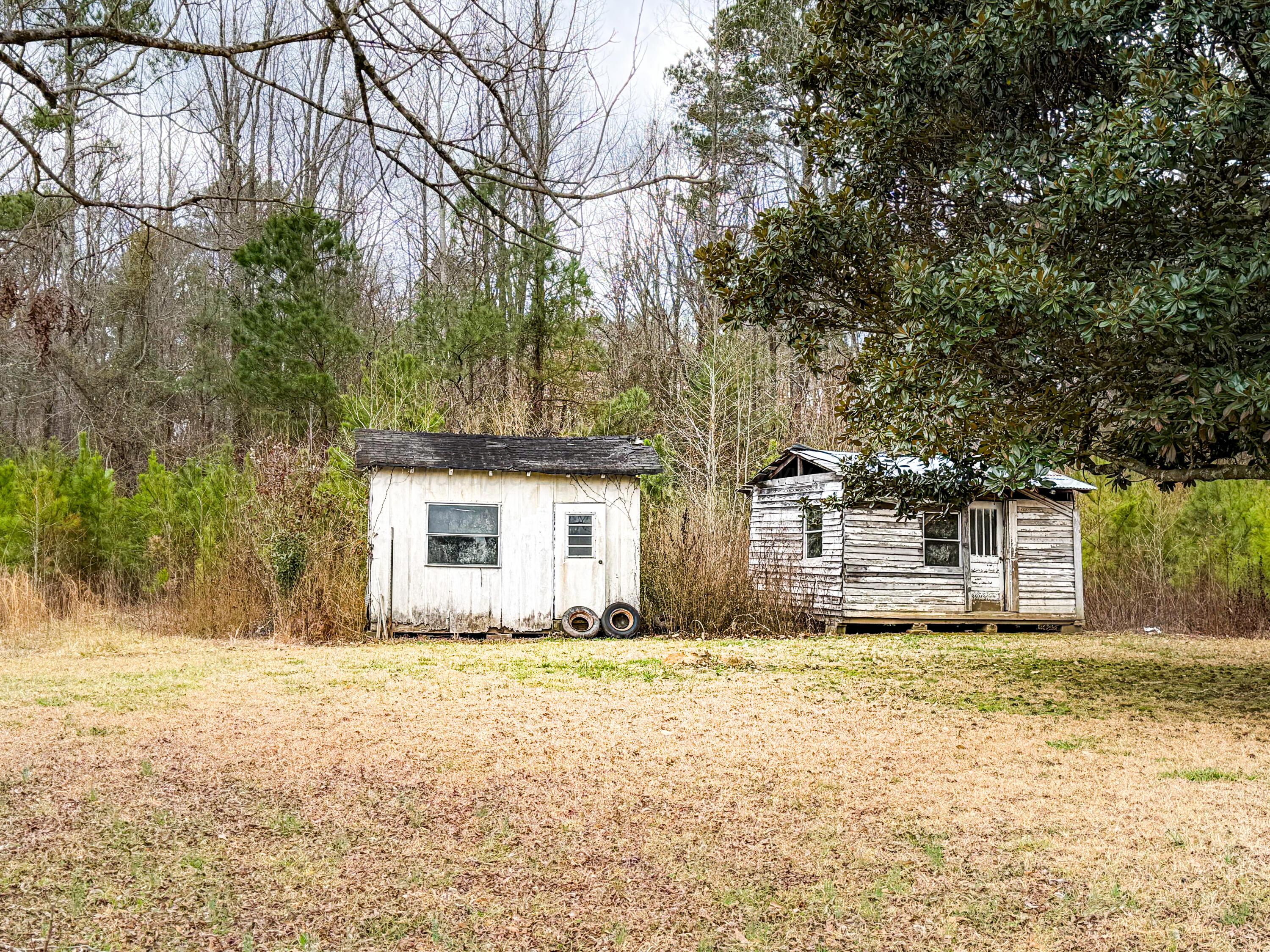 563 Weeks Circle Winfield, AL 35594 - Photo 9 of 32 Gallery Image 9