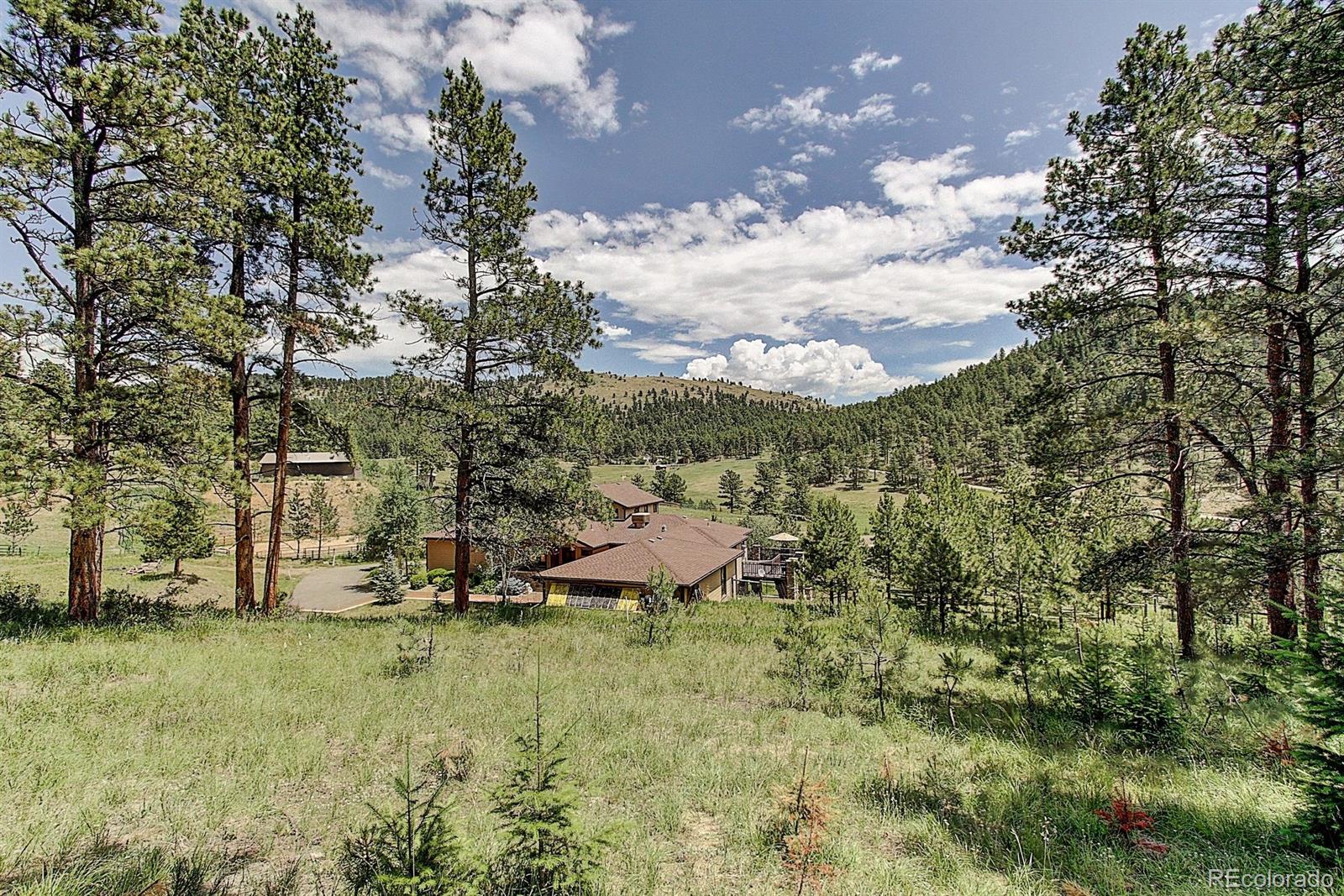 29270 Rudin Circle Evergreen, CO 80439 - Photo 31 of 35 Gallery Image 31