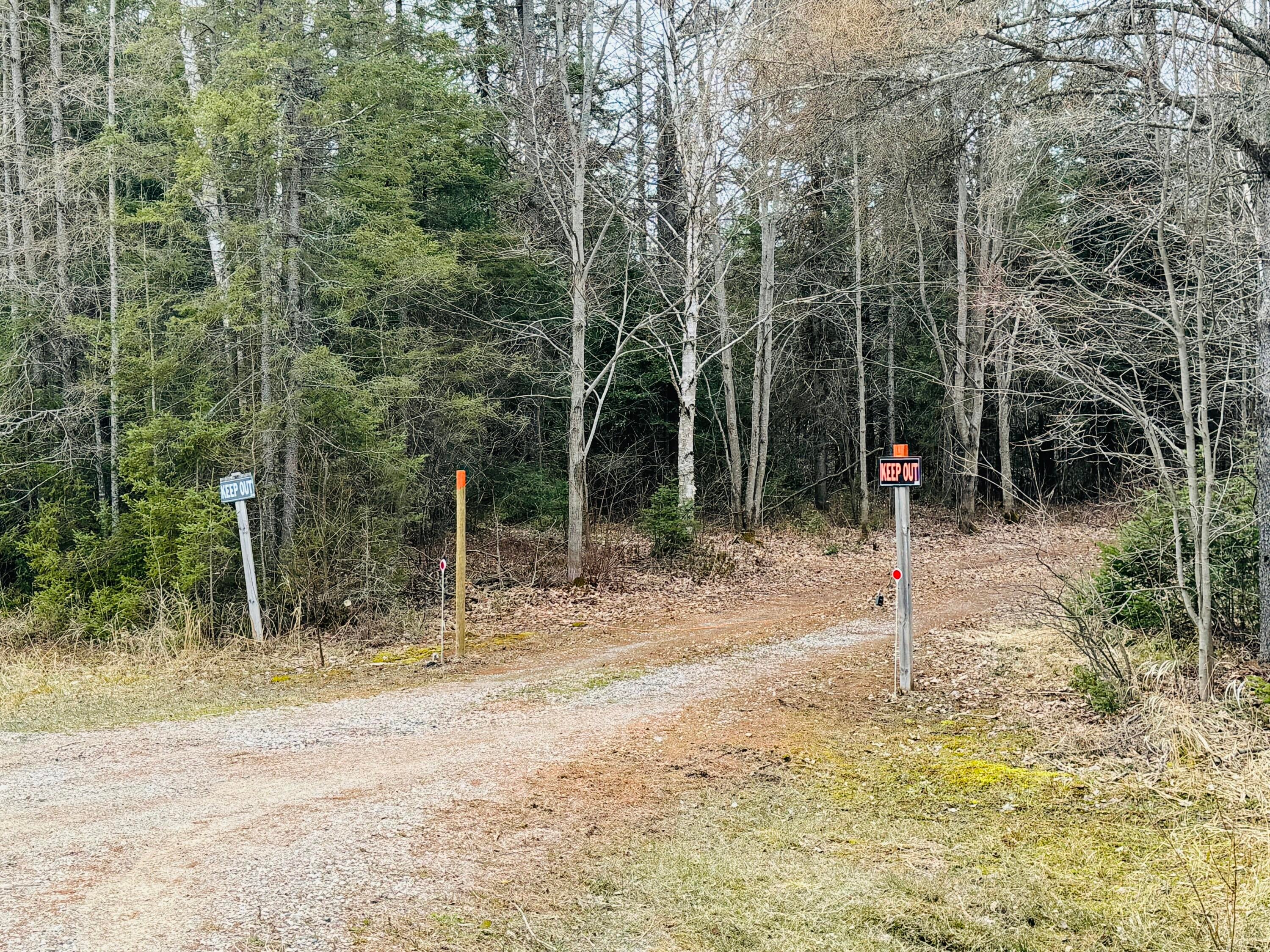 0 South Ojala Road Brimley, MI 49715 - Photo 46 of 48 Gallery Image 46