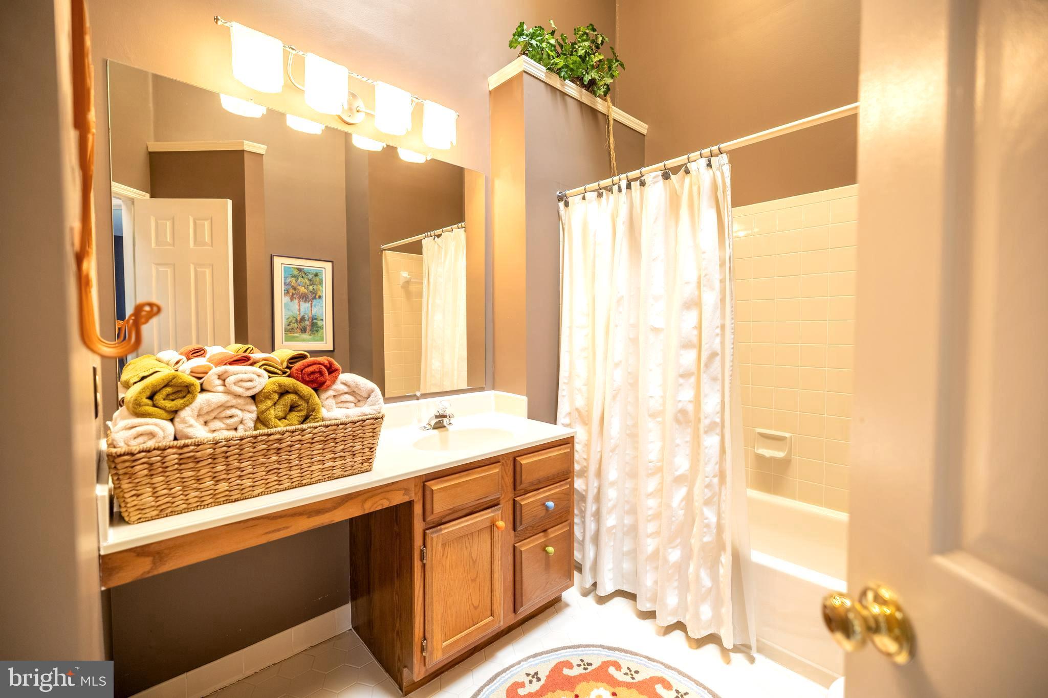 14084 Winding Ridge Lane Centreville, VA 20121 - Photo 38 of 48 Full hall bath with large vanity and skylight