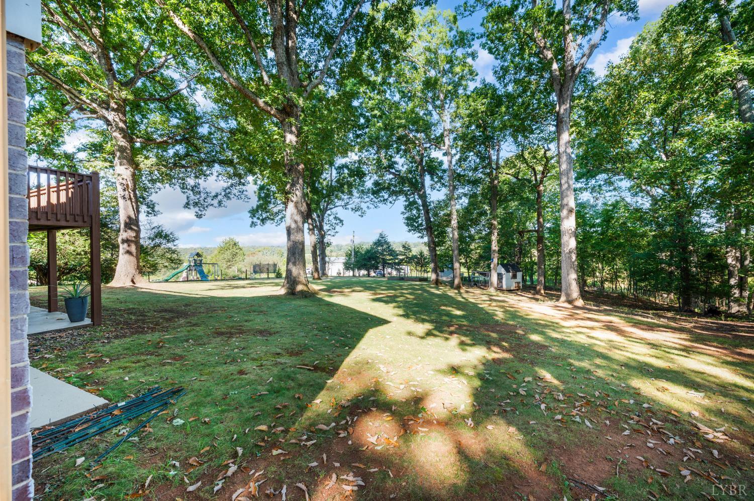 1203 Everett Road Forest, VA 24551 - Photo 61 of 68 a view of a yard with palm trees